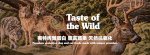 390克Taste of the Wild 無穀物主食狗罐頭